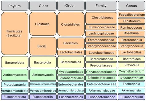 Frontiers | Unraveling the gut microbiome’s contribution to pancreatic ...