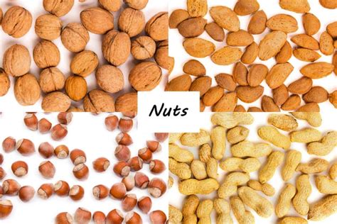 Image result for Nut Button Sound Effect Download