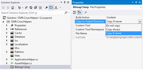 Image result for What Is Bitmap in Visual Studio Form