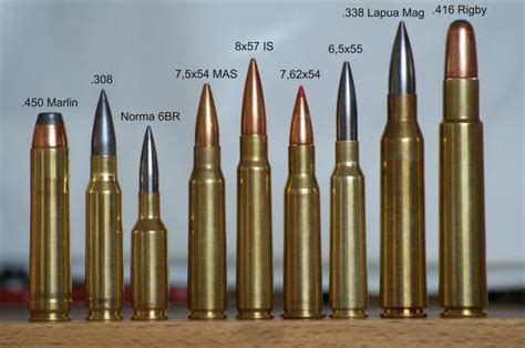 338 Lapua Magnum: Barrel Length Versus Muzzle Velocity (30-17 inches ...