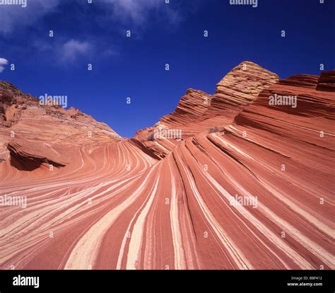 Striped sandstone landscape of Paria canyon and Vermillion Cliffs ...