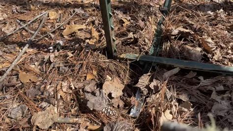 Image result for How to Pull Posts