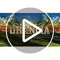 Urancia Sacred Chamara Fly Whisk from Himalayas for Pooja 1 Piece ...
