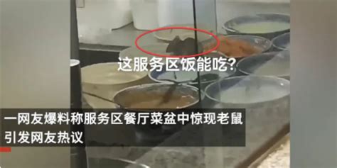 江西工职院“6·1”调查公布：异物被判定为老鼠类啮齿动物的头部 - 哔哩哔哩