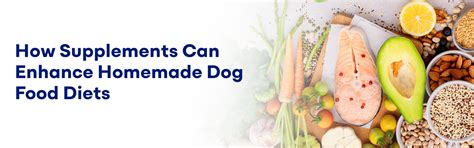 How Supplements Can Enhance Homemade Dog Food Diets – K9 Vitality