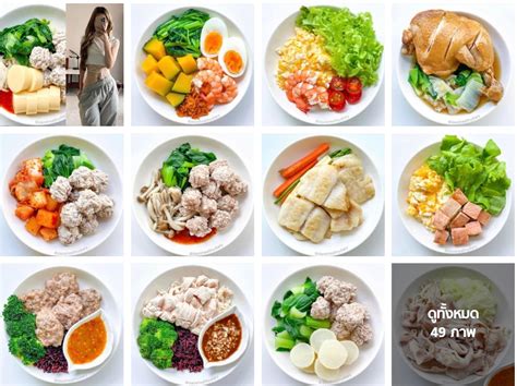 Image result for Classification System Examples