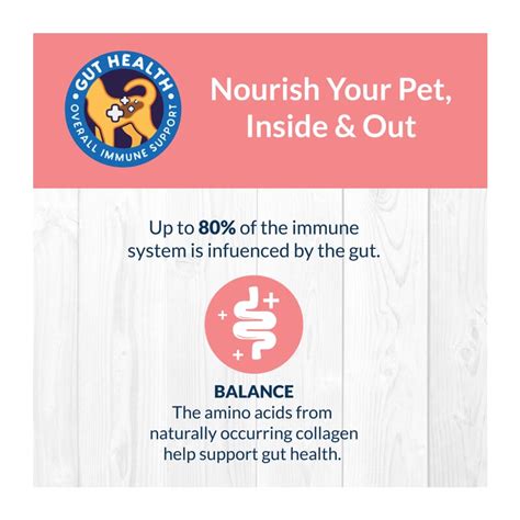 Goofy Sea Food Bone Broth for Dogs and Puppies 100ml (Pack of 3) – Wagr ...