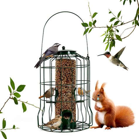 Stokes Caged Bird Feeder at Paul Caison blog