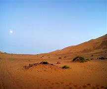 撒哈拉沙漠 的图像结果
