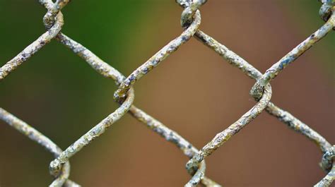 What is email migration & how to migrate your email accounts? - GoDaddy ...