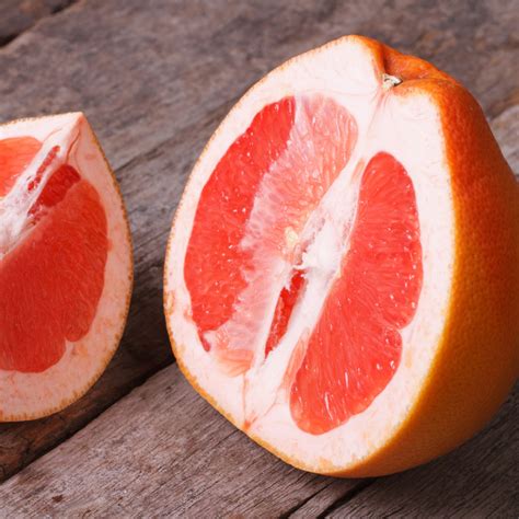 Red Ruby Grapefruit How to Grow Perth 的图像结果