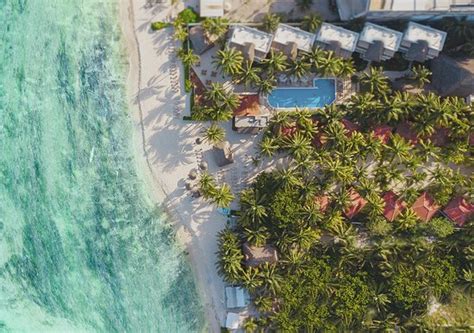 PETIT LAFITTE BEACHFRONT HOTEL & BUNGALOWS (Riviera Maya/Playa del ...
