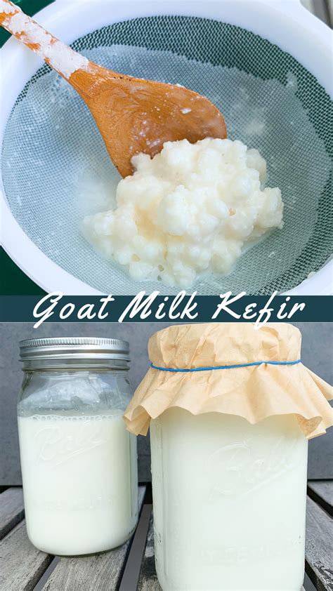 HOW TO MAKE KEFIR (GOAT MILK KEFIR) | Absolutely Flavorful | Kefir ...