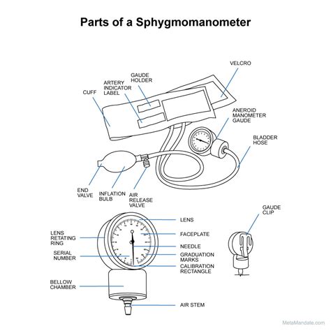 22 Parts of a Sphygmomanometer: Their Names and Functions?