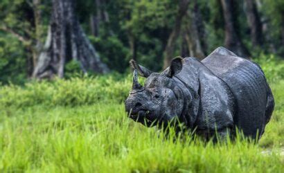 Bhromon Sathi - Travel Agency