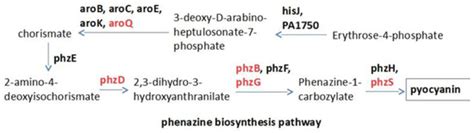 IJMS | Special Issue : New Avenues in Molecular Docking for Drug Design