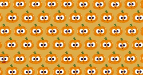 Optical Illusion: Find The Glamorous Pumpkin Among The Normal Ones