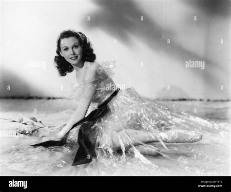Hazel court hazel court hazel hi-res stock photography and images - Alamy