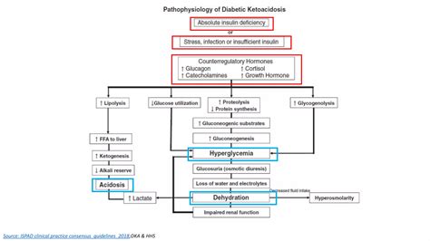 Image result for How to Write Pseudocode for Python