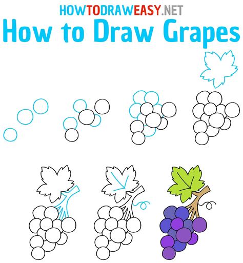 How to Draw Grapes Step by Step | Grape drawing, Vine drawing, Easy ...