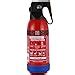 Ceasefire Stainless Steel BC Powder Based Fire Extinguisher, 2 kg ...