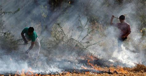 Air Pollution: NGT orders Delhi, Haryana Punjab and UP to help poor ...