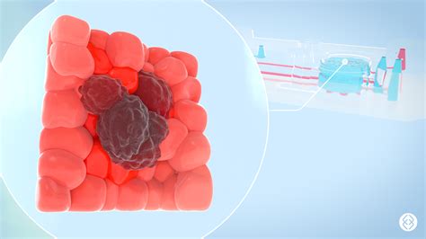 Image result for Multimedia in Science and Technology Animation