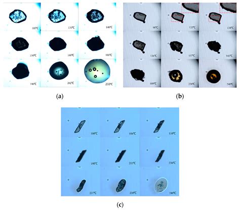 Crystal Structure, Stability and Desolvation of the Solvates of ...