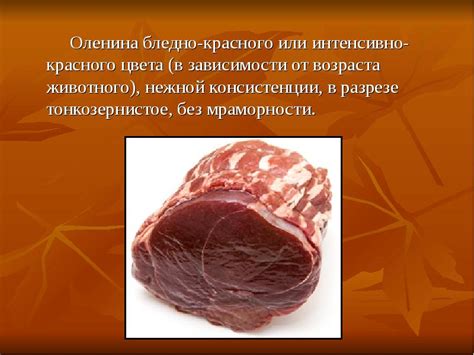 Мясо оленины: полезные свойства и противопоказания для здоровья