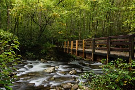 15 Hikes Near Nashville: Best Hiking Trails in 2024 - The Planet D
