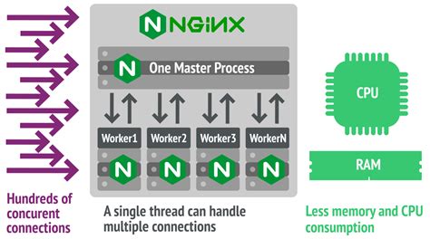 Apache vs Nginx: Which Web Server You Should Choose