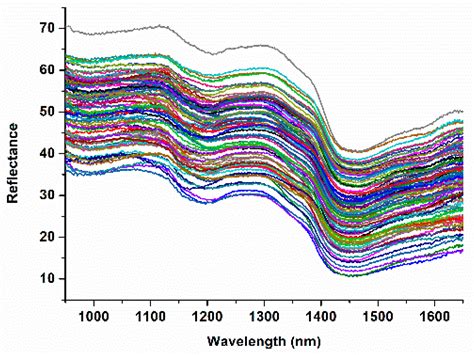 Rapid-Detection Sensor for Rice Grain Moisture Based on NIR Spectroscopy