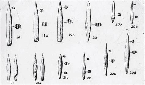 Pre-history and Proto-history - UPSC PDF Download