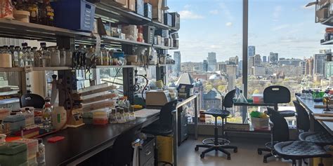 Molecular Genetics Lab 的图像结果