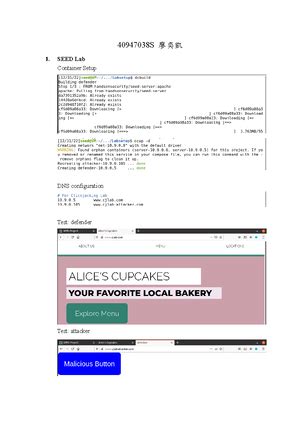 Image result for Buffer Overflow Attack Lab Set UID Version