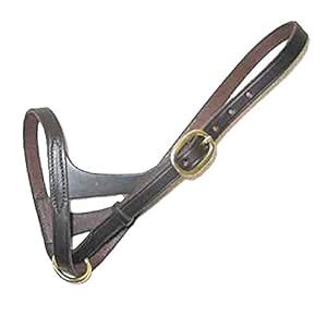 Intrepid International Leather Foal Slip Halter : Amazon.in: Sports ...