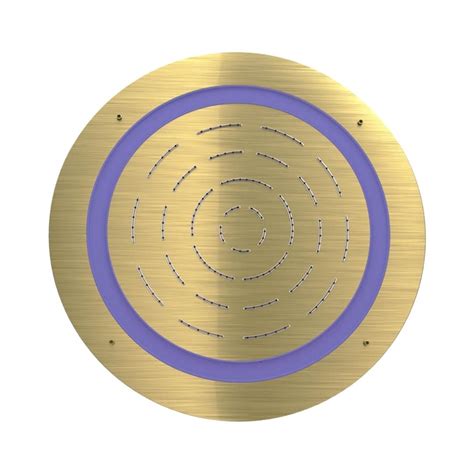 Jaquar Single Flow Overhead Showers OHS-GDS-1673 - Gold Dust on Decure.in
