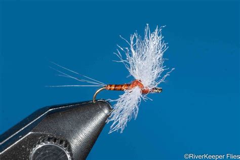 Image result for Mayfly Fly Patterns