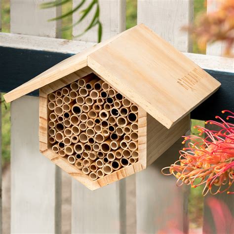 "Help your garden thrive, with the Rivajam Phragmite Reed Mason Bee ...