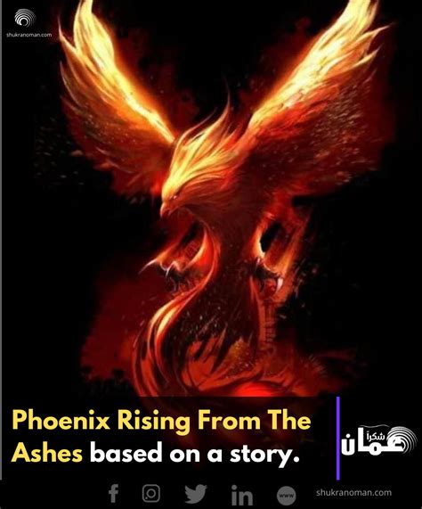 Phoenix Rising From The Ashes - Shukran Oman