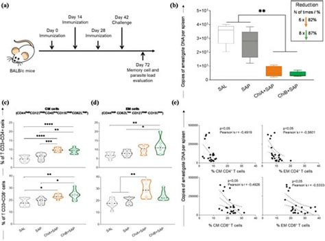 Chimeric Vaccines Designed by Immunoinformatics-Activated ...