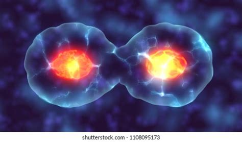 Image result for Cell Over Replication