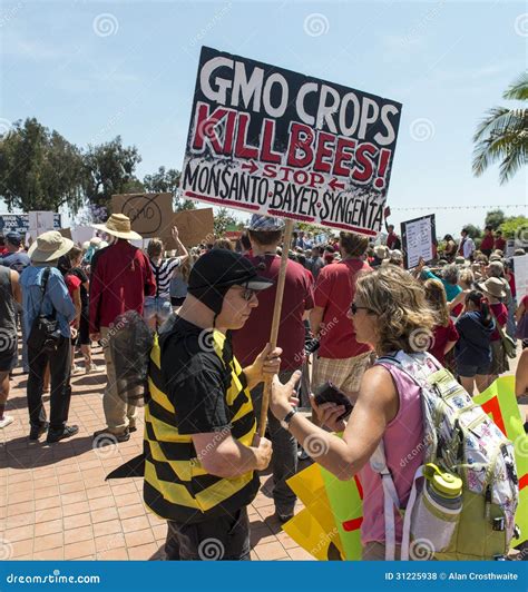 GMO Crops kills bees! editorial stock photo. Image of foods - 31225938