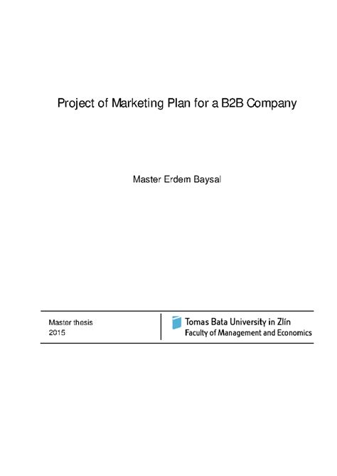 B2B Marketing Literature Review - Project of Marketing Plan for a B2B ...