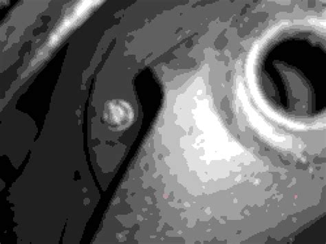 Image result for Coil Spring Installation