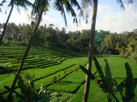 Tabanan Cycling - All You Need to Know BEFORE You Go