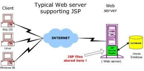 vue代做 Java编码 python/php/net/jsp网站开发