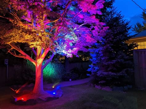 Landscape Tree Lighting 的图像结果