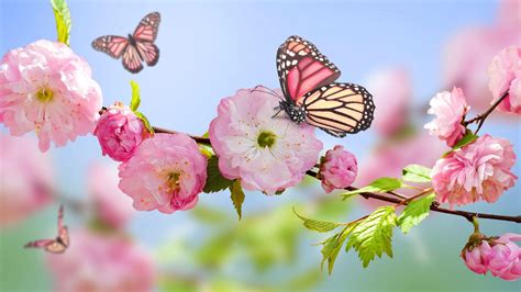 Image result for Spring Images for Desktop