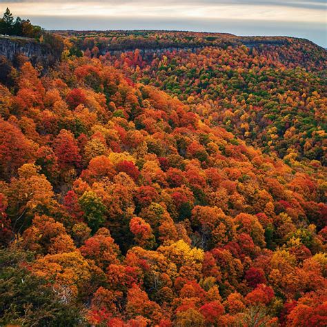 DISCOVERY ALBANY (2025) All You Need to Know BEFORE You Go (with Photos ...